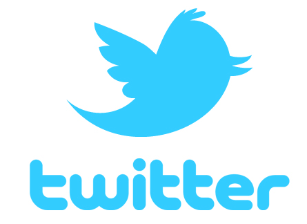 Twitter – 100 Real Followers